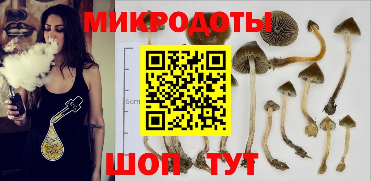 Галлюциногенные грибы Magic Shrooms Курганинск